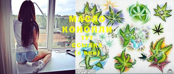 шишки Горнозаводск