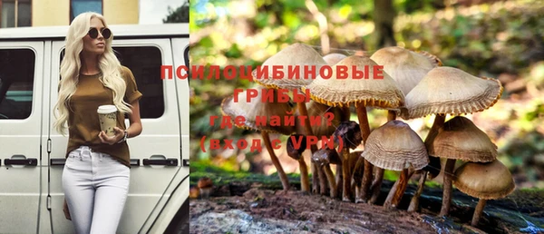крисы Володарск