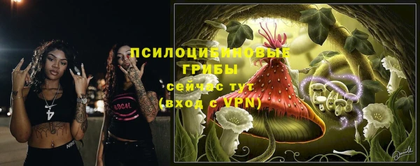крисы Володарск