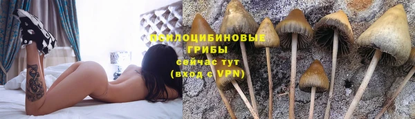 а пвп мука Волоколамск